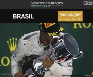 yapboz Lewis Hamilton, 2016 Brezilya Grand Prix